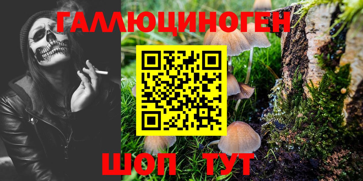 Изобильный  Псилоцибиновые грибы Magic Shrooms  Вход с VPN 